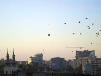 Imagine atasata: 20170801 - 202332.jpg